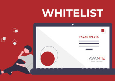 ¿Sabes qué es una Whitelist?