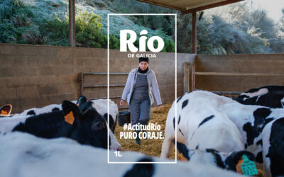 Río de Galicia nos confía su campaña de medios nacional